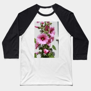 Hollyhock, hollyhock, hollyhock, flower, blossom, pink Baseball T-Shirt